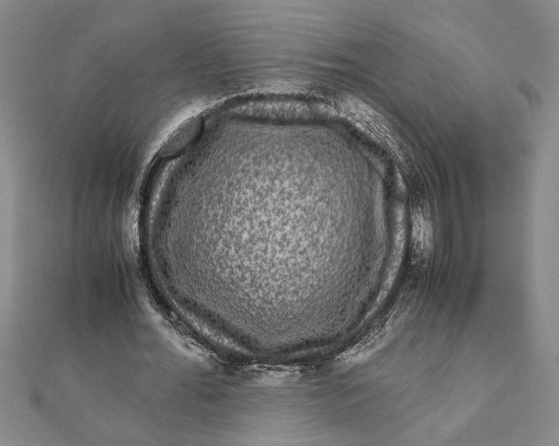 X0000111120676200907281029