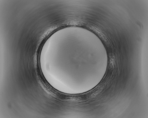 X0000111120678200907281029