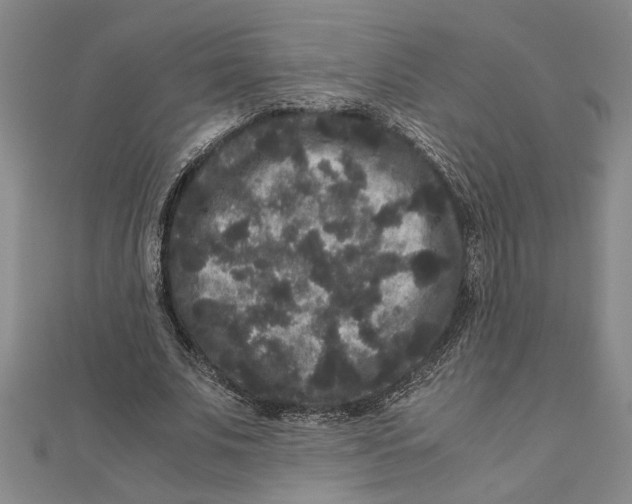 X0000111120679200907281029