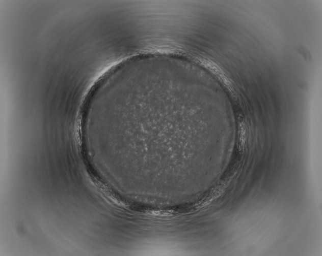 X0000111120680200907281029