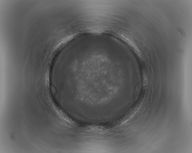 X0000111120681200907281029