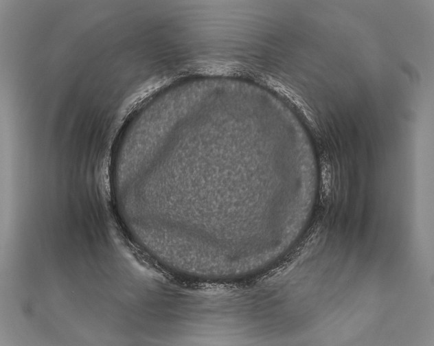 X0000111120682200907281029
