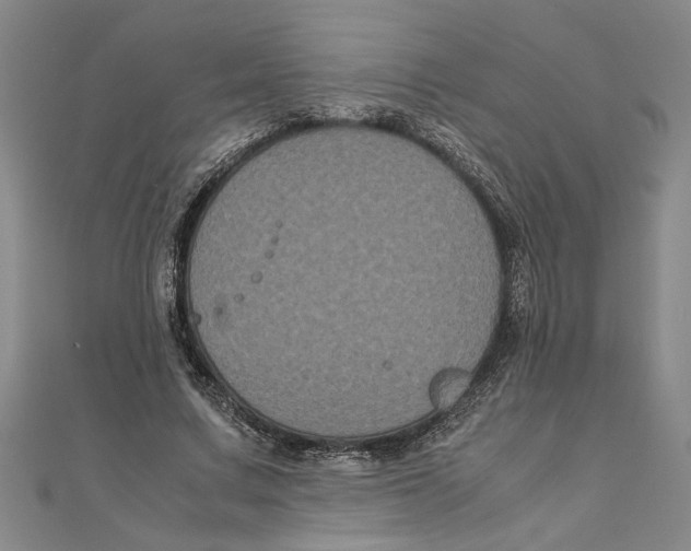 X0000111120683200907281029
