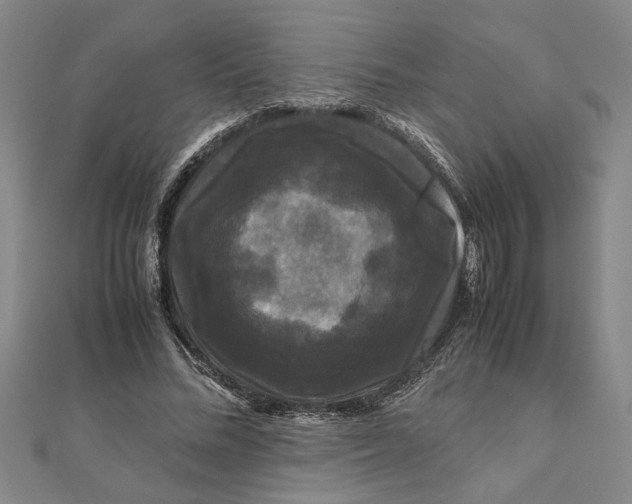 X0000111120684200907281029