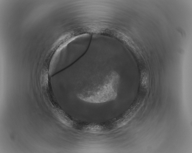 X0000111120685200907281029