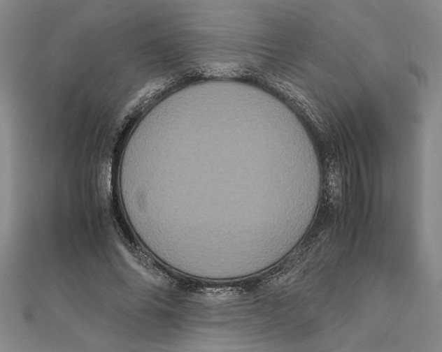 X0000111120686200907281029