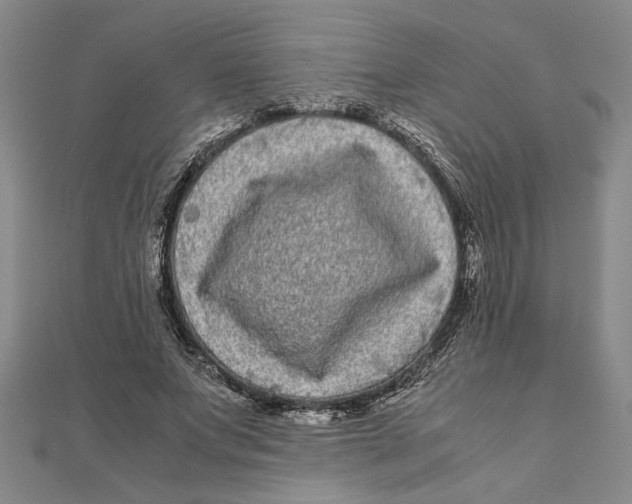 X0000111120687200907281029