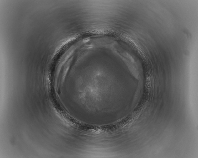 X0000111120688200907281029