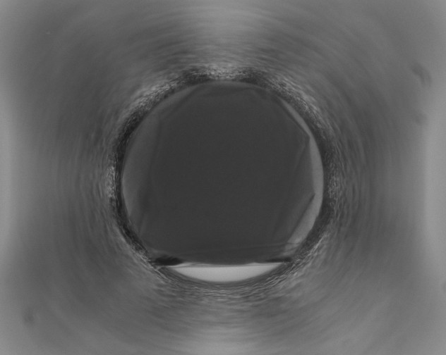 X0000111120689200907281029