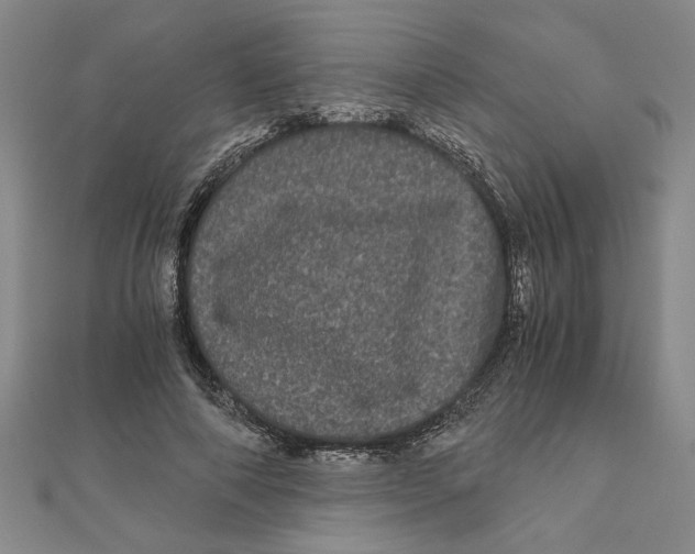 X0000111120690200907281029