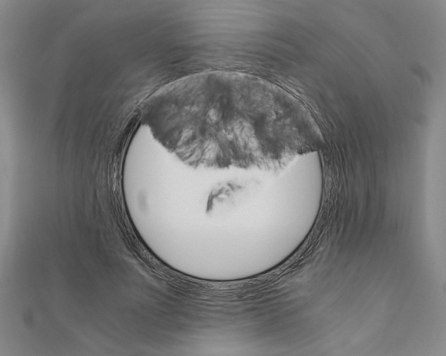 X0000111120691200907281029