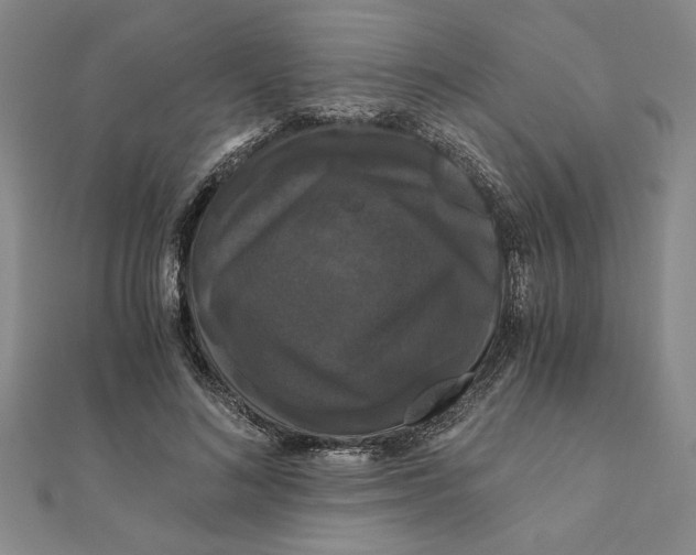 X0000111120692200907281029