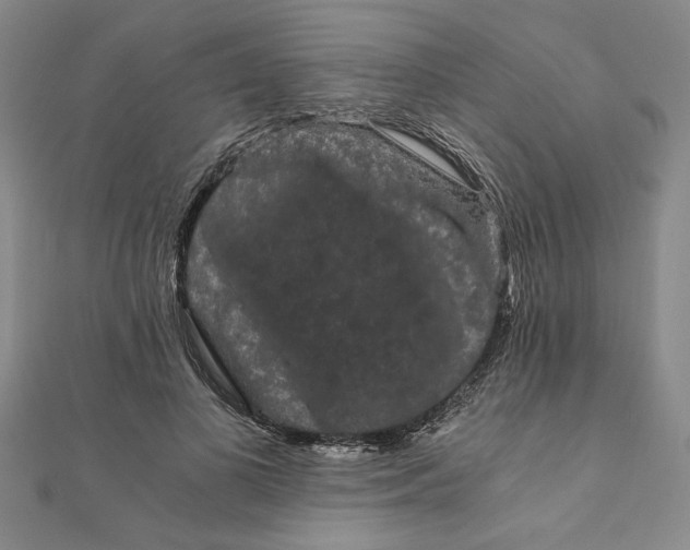 X0000111120693200907281029