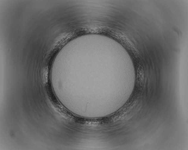 X0000111120694200907281029