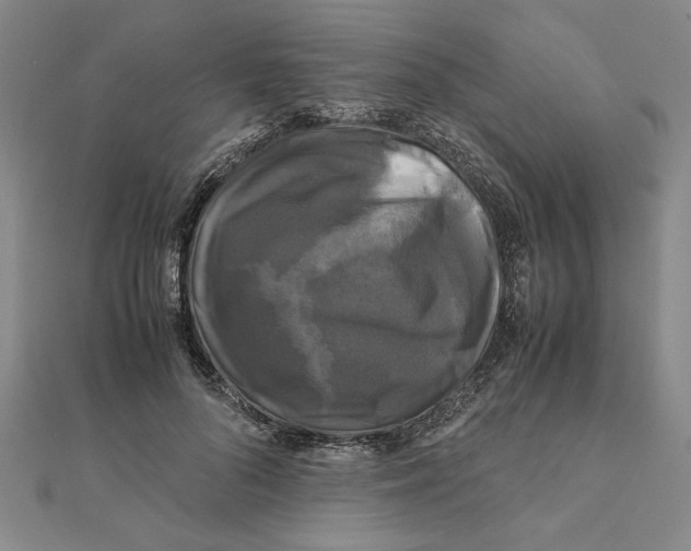 X0000111120696200907281029