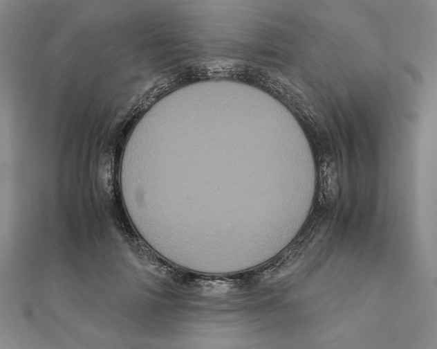 X0000111120698200907281029