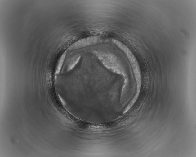 X0000111120699200907281029