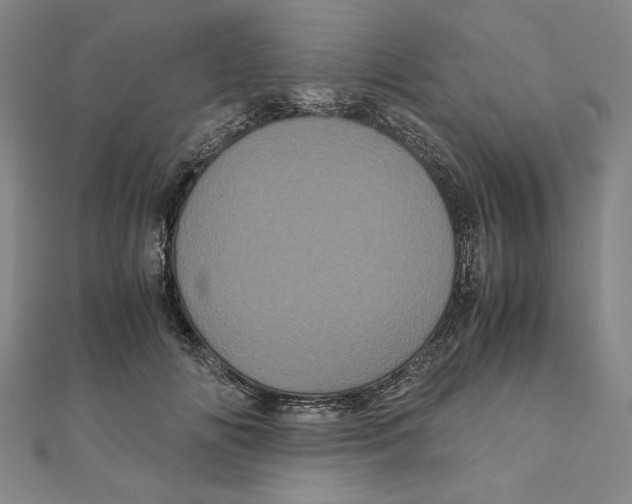 X0000111120702200907281029