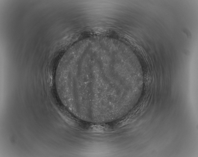 X0000111120703200907281029