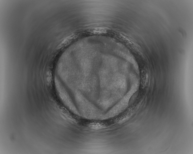 X0000111120704200907281029
