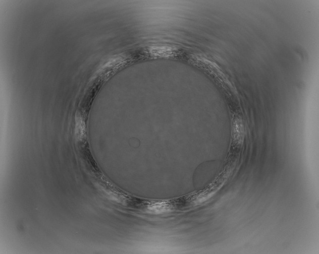 X0000111120705200907281029