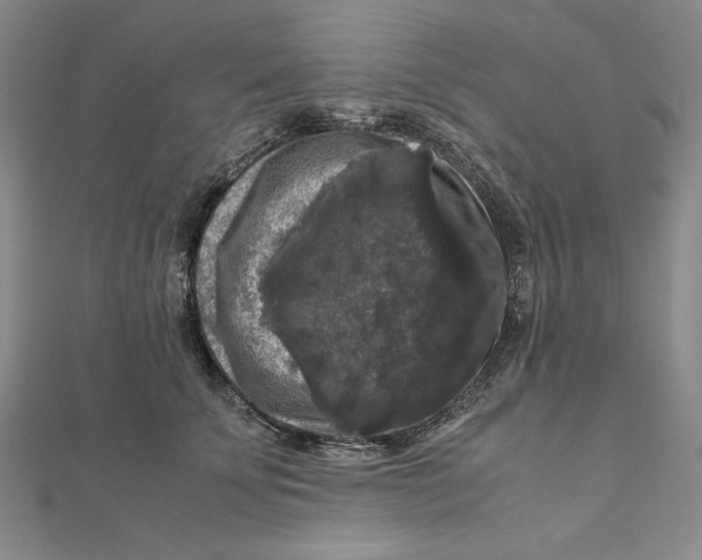 X0000111120707200907281029