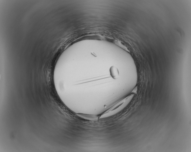 X0000111120708200907281029