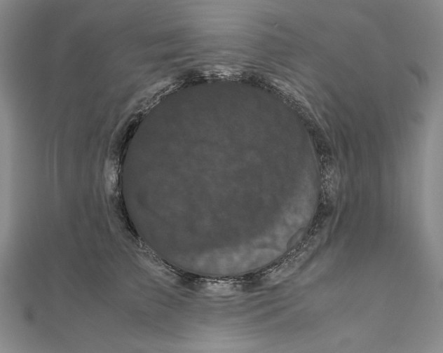 X0000111120709200907281029