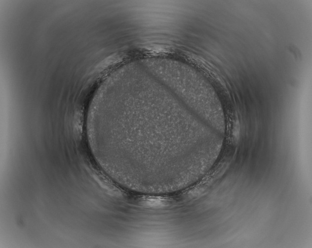 X0000111120710200907281029