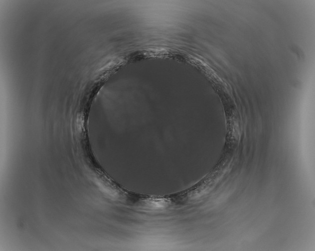 X0000111120711200907281029
