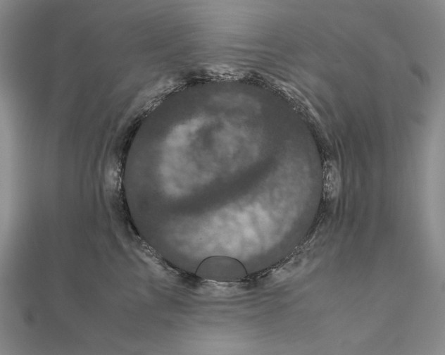 X0000111120713200907281029