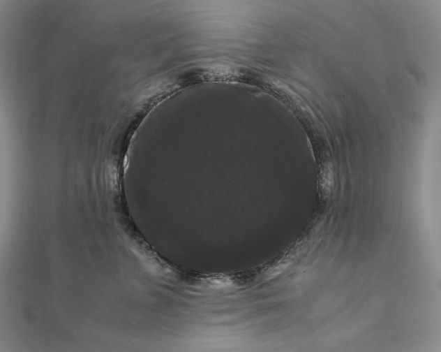 X0000111120715200907281029