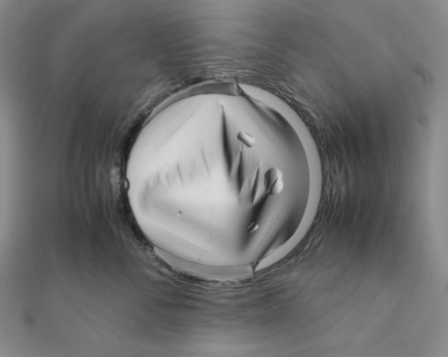 X0000111120716200907281029