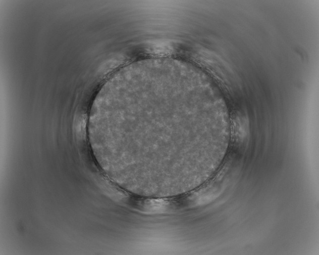 X0000111120717200907281029