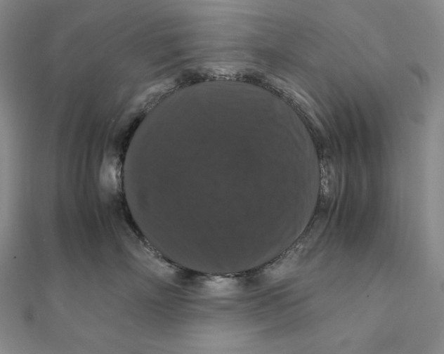 X0000111120718200907281029