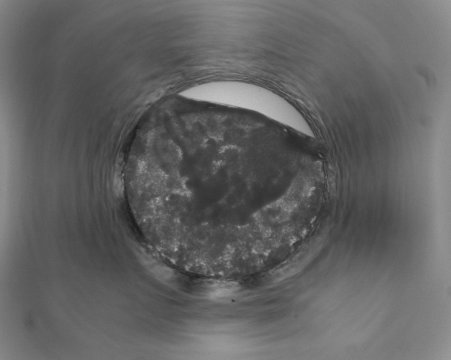 X0000111120719200907281029