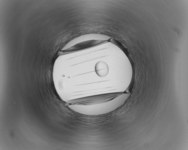 X0000111120720200907281029