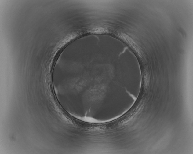 X0000111120721200907281028