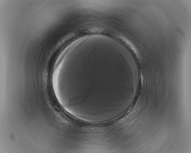 X0000111120722200907281028