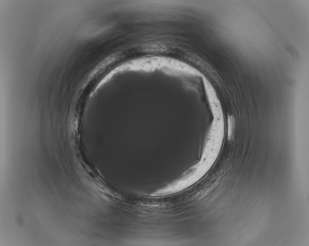 X0000111120723200907281028
