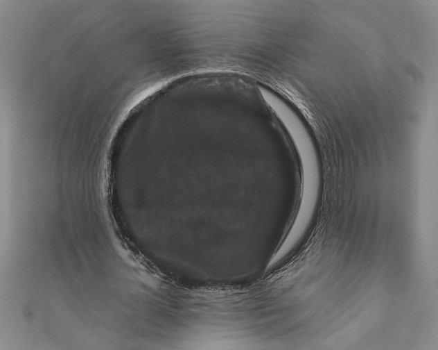 X0000111120724200907281028
