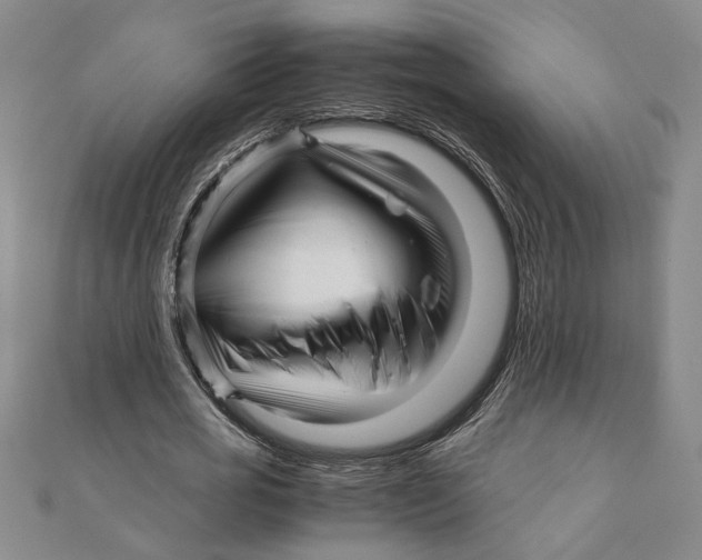 X0000111120725200907281028