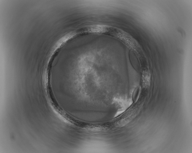 X0000111120726200907281028