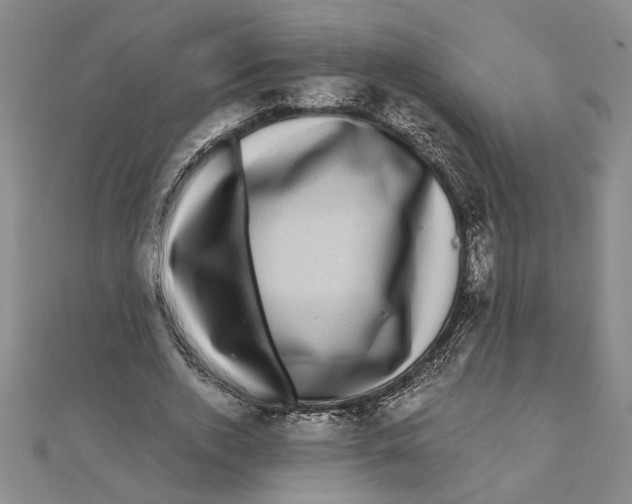 X0000111120728200907281028
