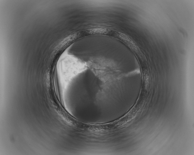 X0000111120729200907281028