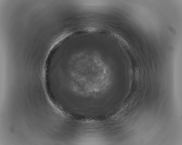 X0000111120730200907281028