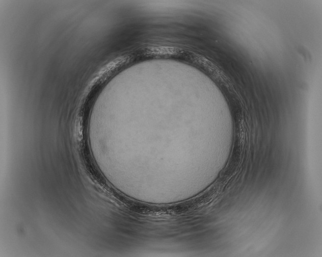 X0000111120731200907281028