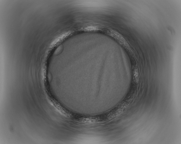 X0000111120732200907281028
