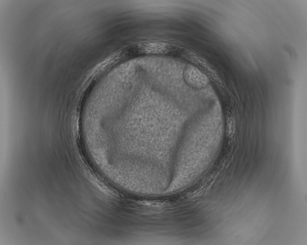 X0000111120733200907281028