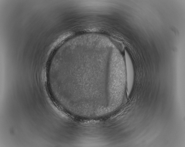 X0000111120734200907281028